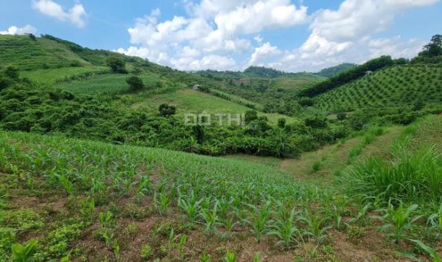 Lô đất 3000m2 đất RSX tại Cao Phong Hòa Bình bám trục liên xã giá cho các nhà đầu tư