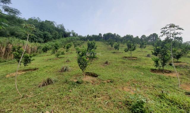 Bán đất tại Xã Bình Sơn, Kim Bôi, Hòa Bình diện tích 2000m2, giá 1,9 tỷ