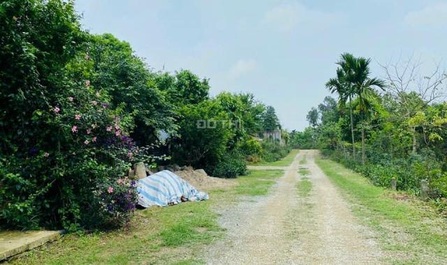 Bán đất nghỉ dưỡng có suối, có ao nằm trong quần thể làng biệt thự Hà Nội tại Đồng Cao Tiến Xuân