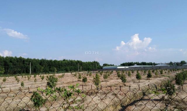 Cần tiền bán rẻ lô đất 1000m2 chỉ 600tr tại Định Quán, Đồng Nai