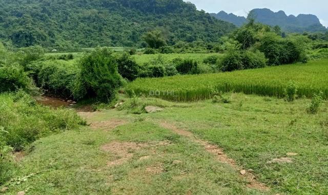Bán đất tại xã Mỹ Hoà, Tân Lạc, Hòa Bình giá 320 triệu
