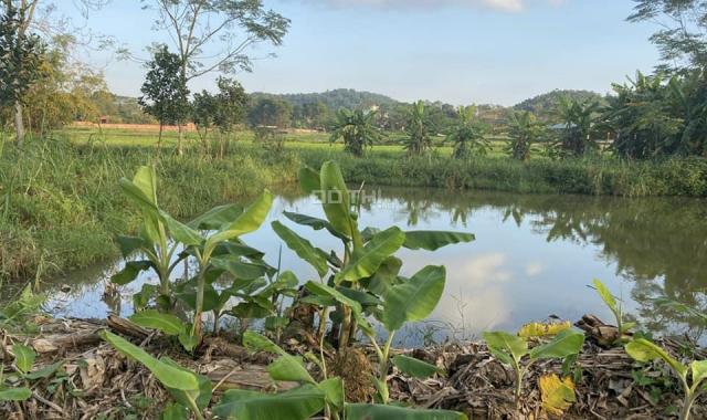 Đất nghỉ dưỡng view cánh đồng thoáng đẹp, trong đất có ao tại Yên Bài Ba Vì, giá chỉ hơn 1tr/m2