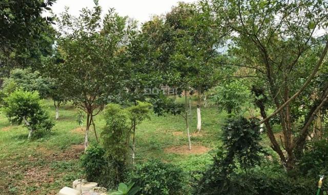 Đất đẹp nghỉ dưỡng tặng nhà mái bằng cùng khuôn viên vườn cây ao cá tại Vân Hòa Ba Vì