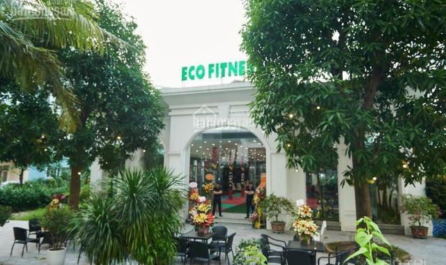 Hót, trực tiếp chủ đầu tư quỹ hàng hiếm 10 căn ngoại giao ở EcoCity Việt Hưng, đảm bảo giá tốt nhất