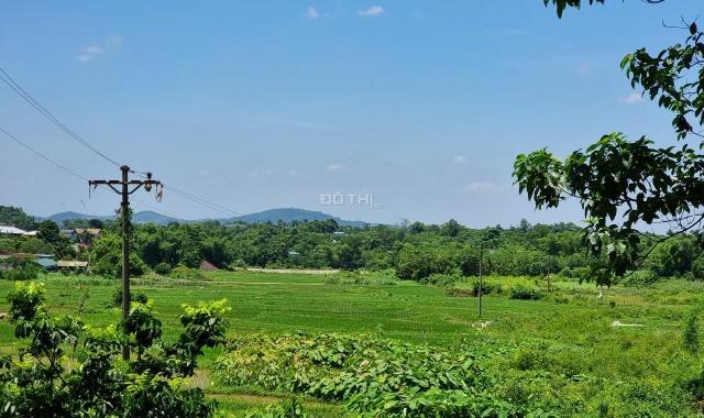 1400m2 đất vườn, view cánh đồng, Cư Yên, Lương Sơn, Hoà Bình