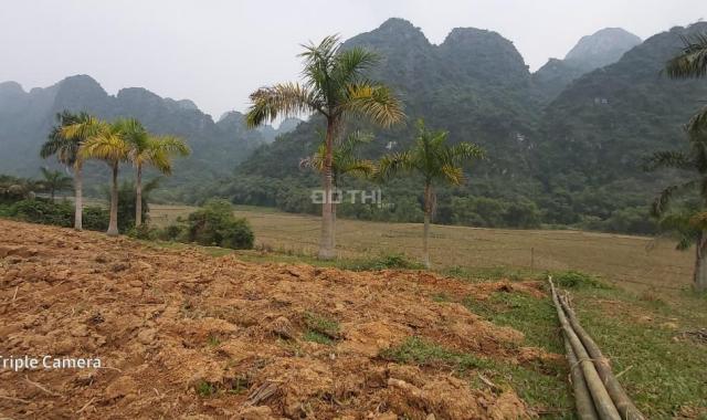 Bán đất 9700m2 1200m2 ONT bám hồ, Sào Báy, Kim Bôi, Hoà Bình