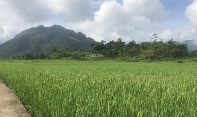 Bán đất tại Xã Mai Châu, Mai Châu, Hòa Bình diện tích 26000m2 gía đầu tư