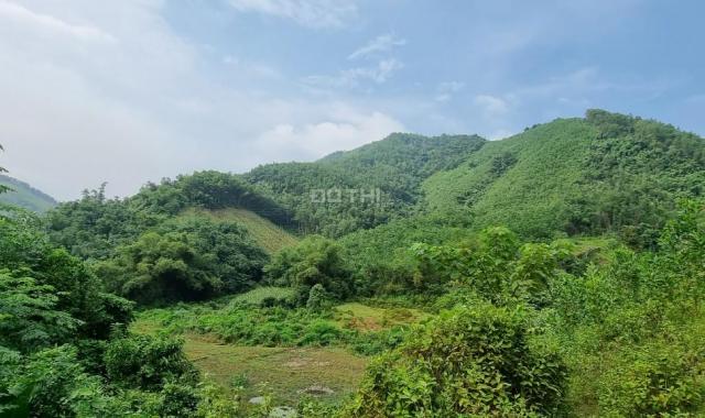 Bán 10ha đất rSX tại Kim Sơn, Kim Bôi. Có suối, có thác