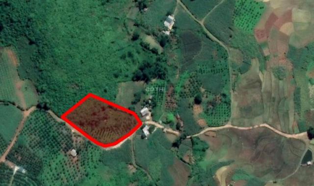 Bán đất tại xã Hợp Phong, Cao Phong, Hòa Bình diện tích 4300m2 giá 370 triệu