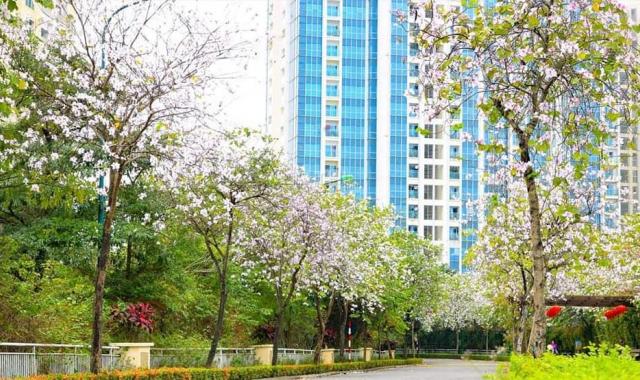 Bán gấp căn 2PN 58m2 The Link Ciputra, tầng cao, view đẹp giá chỉ 2.3 tỷ. Nhận nhà ngay