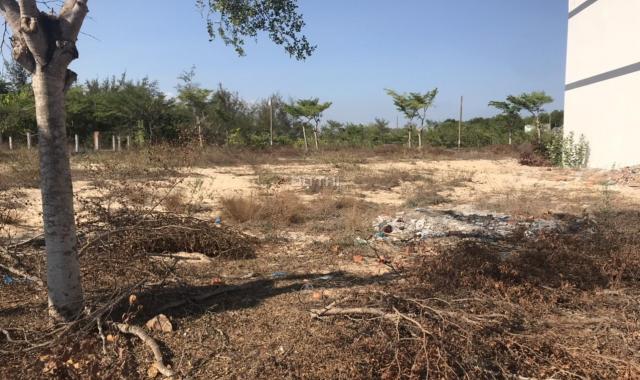 Bán đất mặt tiền Nguyễn Tri Phương, thị xã LaGi lợi nhuận tốt