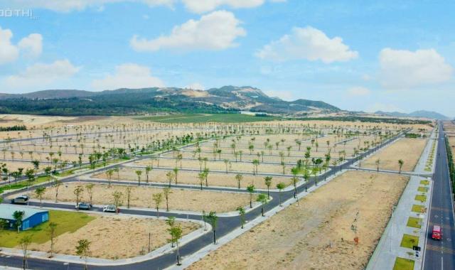 06 lý do khách hàng nên đầu tư đất nền Quy Nhơn