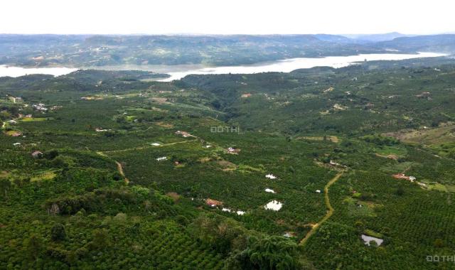 Bán trang trại, khu nghỉ dưỡng tại đường 28, Di Linh, Lâm Đồng diện tích 10000m2 giá 6.8 tỷ