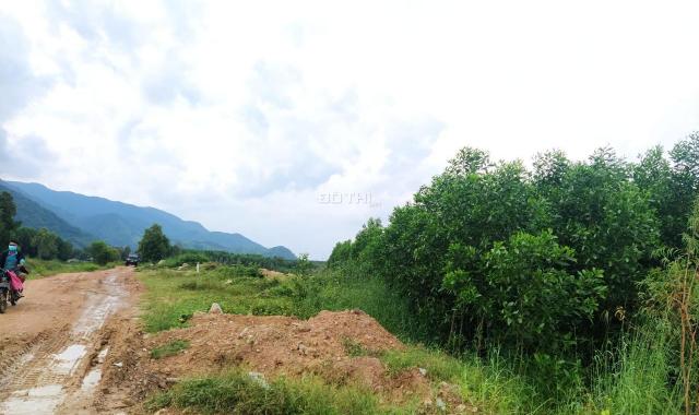 Bán 1 hecta đất Tân Xuân, Hàm Tân giá ngộp 1.3 tỷ