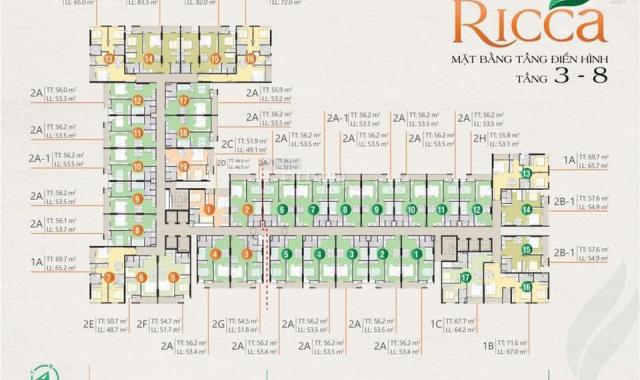 Mua nhà trước tết, Ricca giao nhà quý 4/2021 nhà mới chỉ 30 triệu/m2, 1.750 tỷ bao hết thuế phí