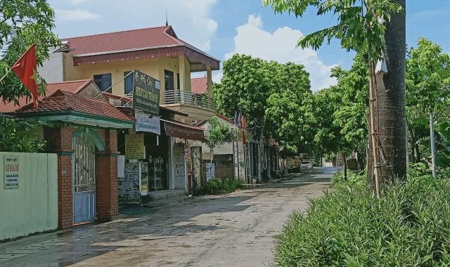 Bán đất Phú Cường, Sóc Sơn, ô tô đỗ cửa, giá 16 tr/m2
