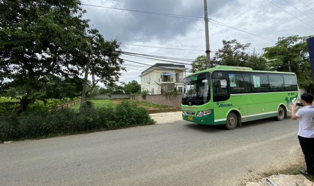 Cần bán lô đất mặt đường Phú Cát xe bus đi qua, gần tổ hợp 5 bệnh viện trung ương Hoà Lạc