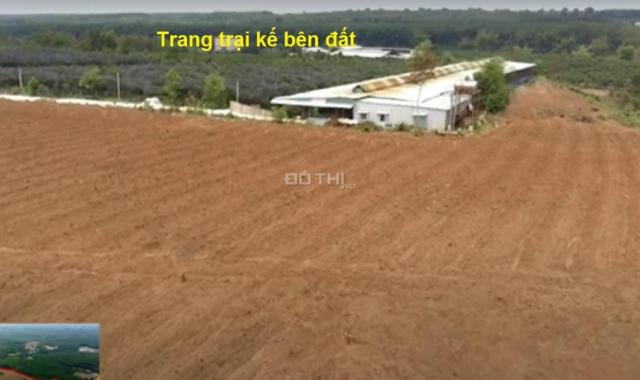 Bán đất xã Tam Lập - Phú Giáo. DT 18ha