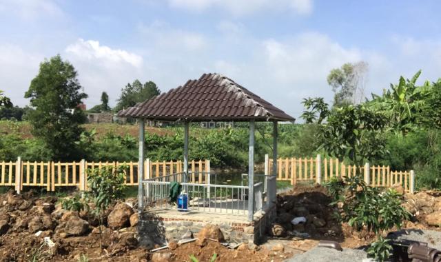 Khu du lịch sinh thái, Sản phẩm nhà vườn tại xã Thanh Bình Trảng Bom