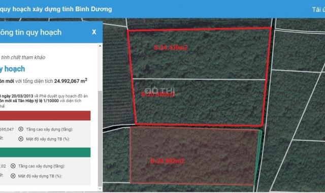 Cho thuê đất đường DH507 Tân Hiệp - Phú Giáo. Diện tích 80000m2