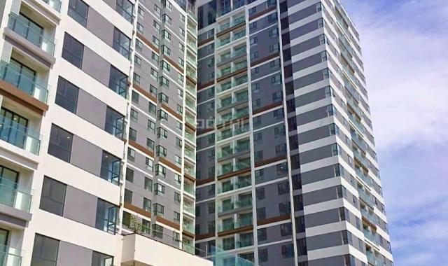 Mua ở, diện tích vừa phải 55m2 1 + 1 PN D’Lusso Emerald, 3.170 tỷ bao thuế phí