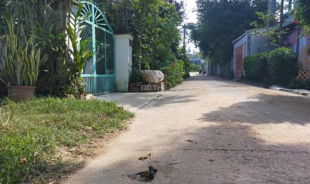 Đất thổ cư giá rẻ mặt tiền đường ĐX 120 tại phường Tân An TP Thủ Dầu Một