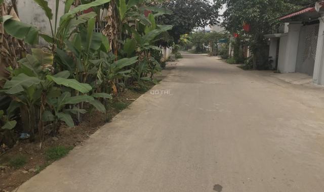 Bán 225m2 đất Cổ Đông, Sơn Tây, Hà Nội