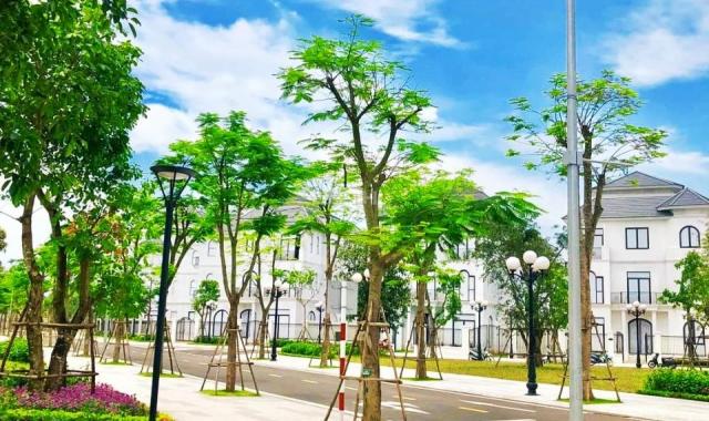 Bán căn biệt thự Green Villas gía rẻ nhất dự án tại KĐT Vinhomes Smart City