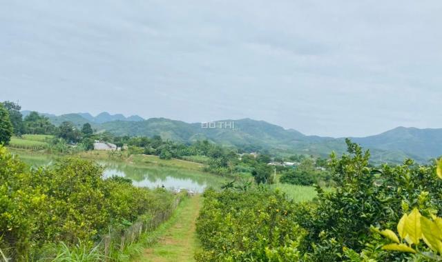 Hot, cần bán 8.000m2 đất thổ cư view cực đẹp tại Cao Phong, Hòa Bình