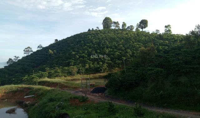Bán trang trại Lộc Nam Bảo Lâm Lâm Đồng gần 8ha. 23 tỷ