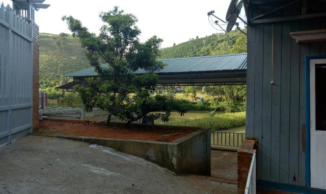 Bán trang trại Lộc Nam Bảo Lâm Lâm Đồng gần 8ha. 23 tỷ
