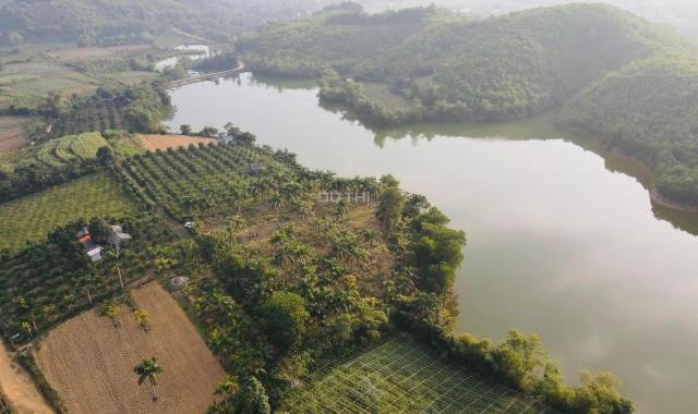 Siêu phẩm 9.700m2 đất bám hồ siêu đẹp tại Kim Bôi, Hòa Bình
