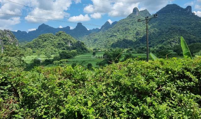 Nhanh tay sở hữu ngay 6800m2 đất thổ cư giá chỉ hơn 2 tỷ tại Tân Lạc, Hòa Bình