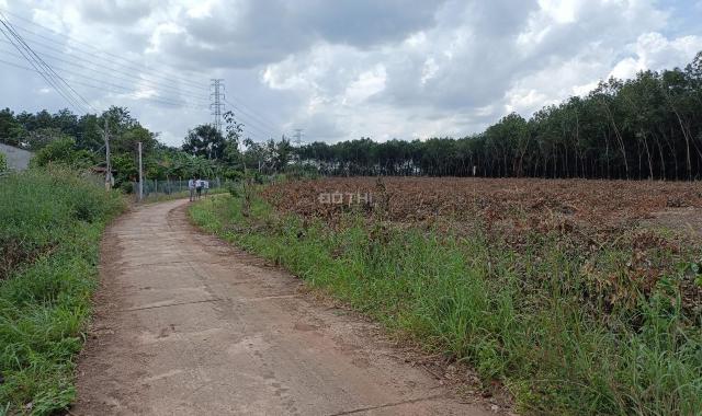 Bán đất gấp 1 lô đất Lộc Ninh - Bình Phước
