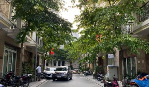 Bán nhà mặt phố Trần Đăng Ninh, kinh doanh ngày đêm, phân lô ô tô tránh hơn 6 tỷ