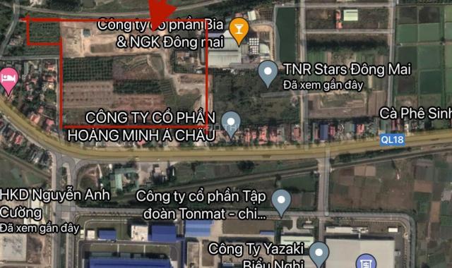 Mở bán dự án TNR Đông Mai - Quảng Yên giai đoạn 1 giá gốc cđt LH: 0972.699.661
