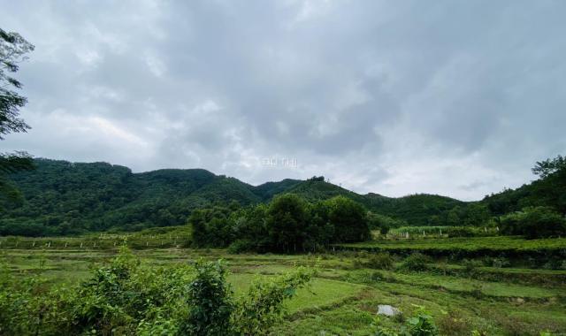 Mở bán lô đất view cánh đồng tại Yên Bình, Thạch, Thất Hà Nội