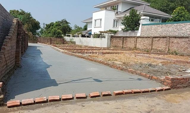 Bán thu hồi vốn 50.2m2 mặt tiền 6.2m trục xương cá Đông Sơn Quang Tiến 460tr