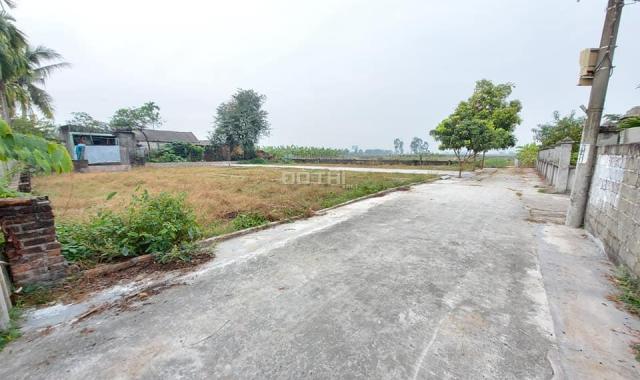 Bán đất tại Kính Trực, Xã Tân Phong, Kiến Thụy, Hải Phòng diện tích 568m2