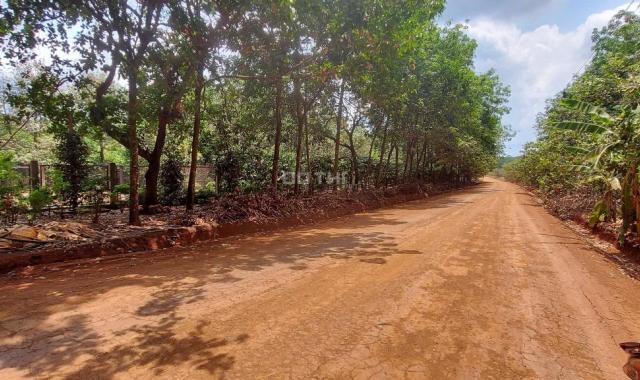 Bán lô đất siêu đẹp để phân lô MT dài 307m, sâu 70m, Phú Riềng, Bình Phước