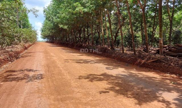 Bán lô đất siêu đẹp để phân lô MT dài 307m, sâu 70m, Phú Riềng, Bình Phước
