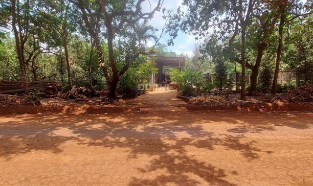 Bán lô đất siêu đẹp để phân lô MT dài 307m, sâu 70m, Phú Riềng, Bình Phước