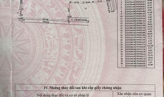 Bán 1,68ha đất mặt tiền đường Trung An Huyện Củ Chi, giá chỉ 5,2 triệu/m2