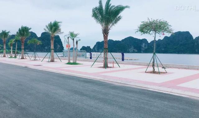 Ra bảng hàng mới đất nền mặt biển dự án TTP Cẩm Phả, Quảng Ninh