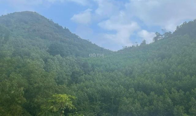 Bán đất tại Xã Lập Chiệng, Kim Bôi, Hòa Bình diện tích 15000m2 giá 1 tỷ