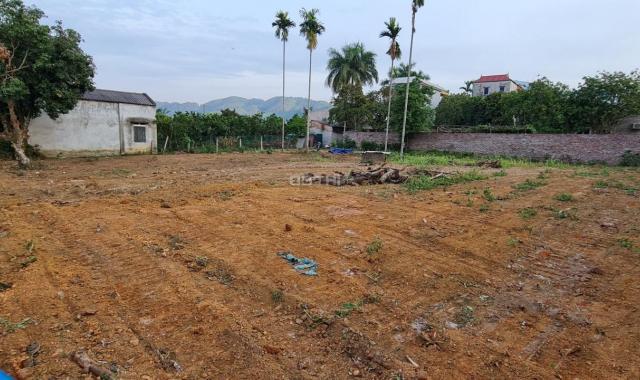 Chính chủ bán lô đất nghỉ dưỡng tại Yên Bình - Thạch Thất - Hà Nội