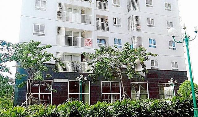 Cho thuê chung cư Tara Residence 1A Tạ Quang Bửu P6 Q8 49m2 CH 1 PN nhà trống gần BXQ8 6,5tr/tháng