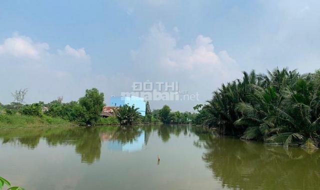 Đất lúa mặt tiền đường Nguyễn Bình, Nhơn Đức, Nhà Bè. 6500m2 giá 8tr/m2