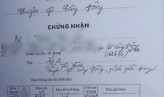 Bán 12.636m2 đất lúa Tân Phước, GCĐ, TG, gần đền thờ anh hùng dân tộc Trương Định 360tr/1000m2