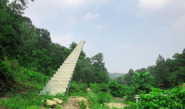 Chuyển nhượng công trình sinh thái Lâm Trường Minh Phú, Sóc Sơn, diện tích 33000m2, giá 99 tỷ